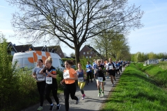 14. Vierländer Volkslauf 2018